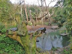149 BIO PARC DE DOUE LA FONTAINE 2- 2016_000058